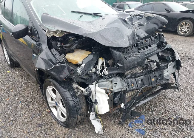 1FMCU9G9XEUC57883: 39083886