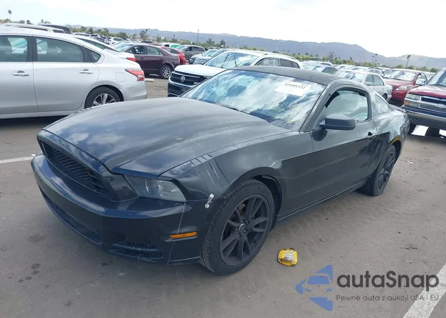 1ZVBP8AM2E5294450: 39109321