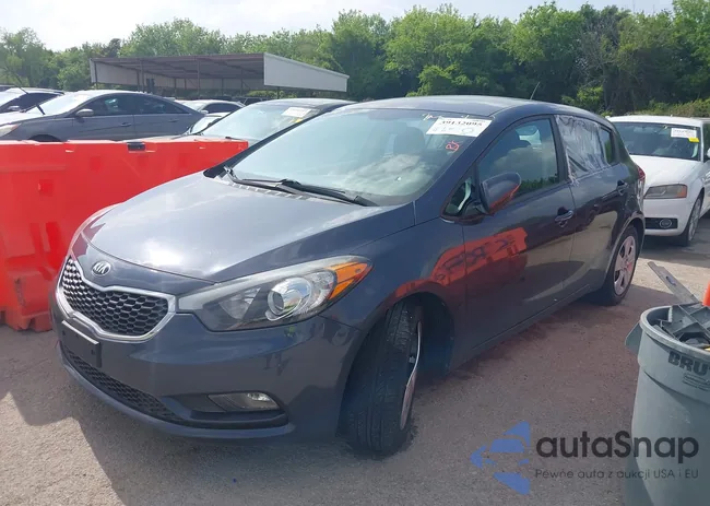 KNAFK5A89G5630020: 39132095