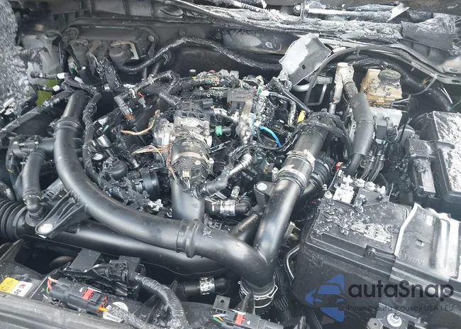 1FMEE1BP2RLA24850: 39133714