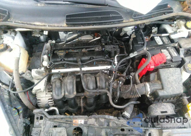 3FADP4BJ6KM102550: 39213853