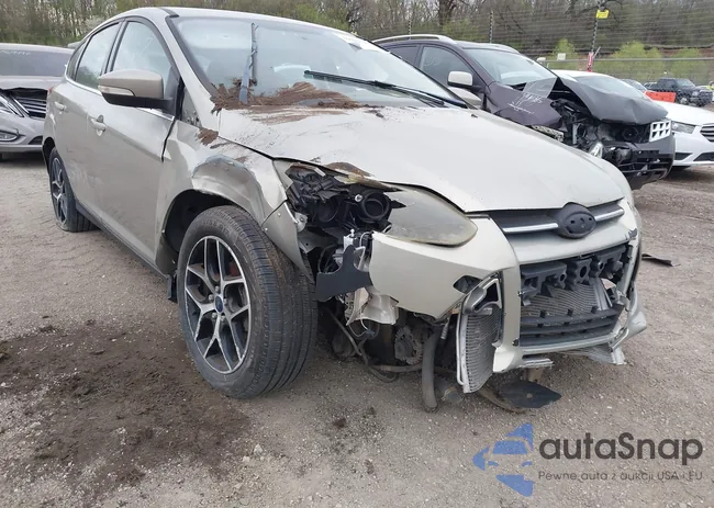 1FADP3N21GL346002: 39229347