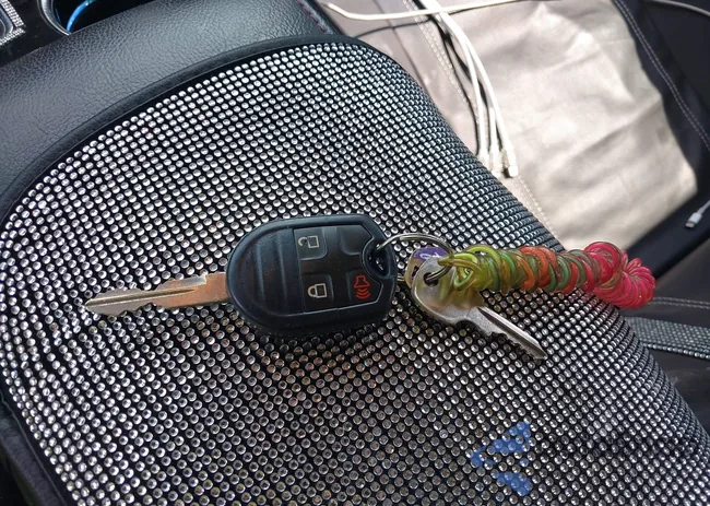 2FMDK3KC6DBB83618: 39231121