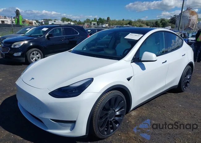 7SAYGDEFXNF490722: 39279642