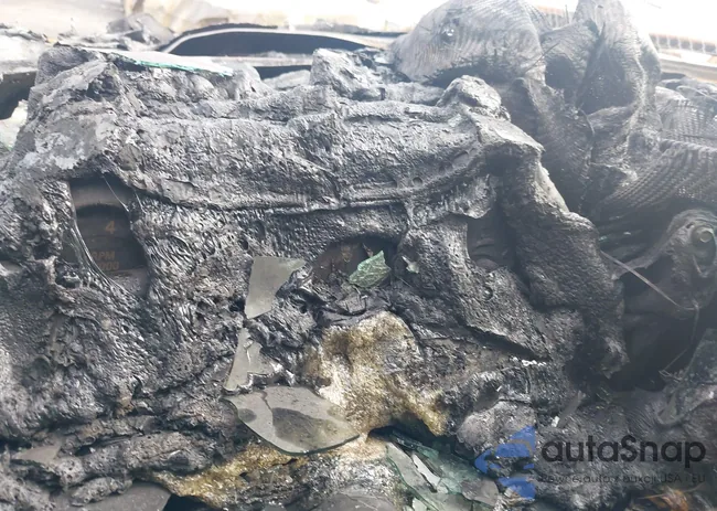 1G1FK1R69H0173036: 39299565