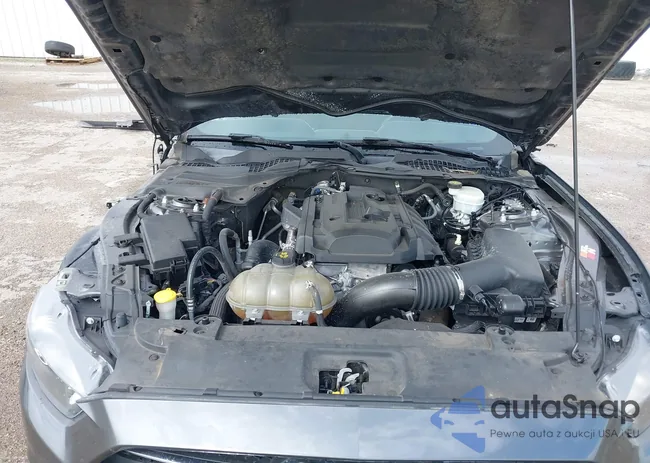 1FA6P8TH4F5382444: 39301182