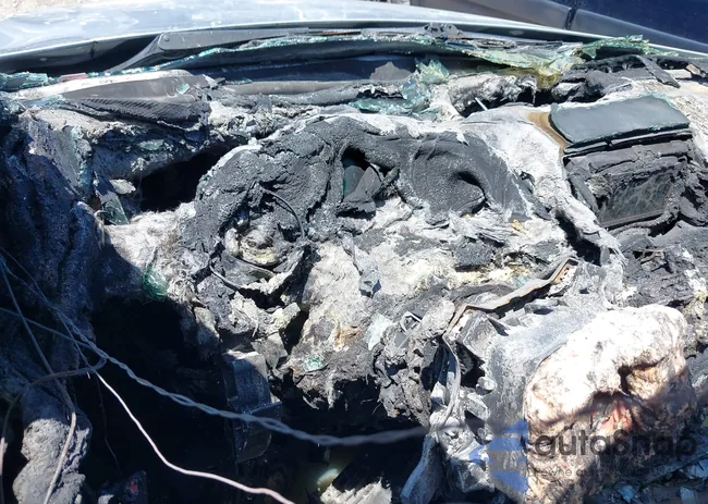 WDDGF54X68R006240: 39348755