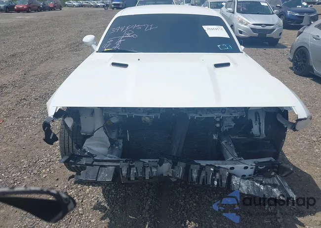 2C3CDZAG1MH546880: 39414571