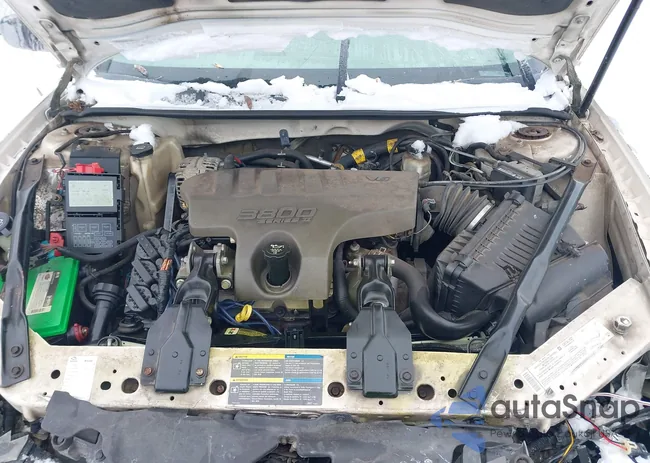 2G1WF55K559320050: 38521902