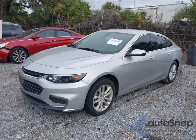 1G1ZD5ST0JF143828: 38556046