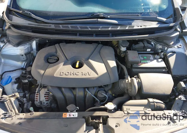 KNAFK4A6XG5492125: 38558736