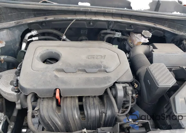 KNDPMCAC1K7551030: 38585019