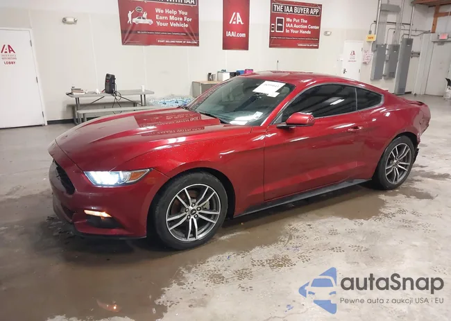 1FA6P8TH1H5272132: 38599043