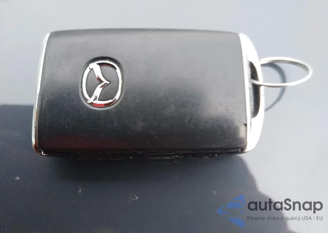 3MVDMBDL8MM318441: 38619658