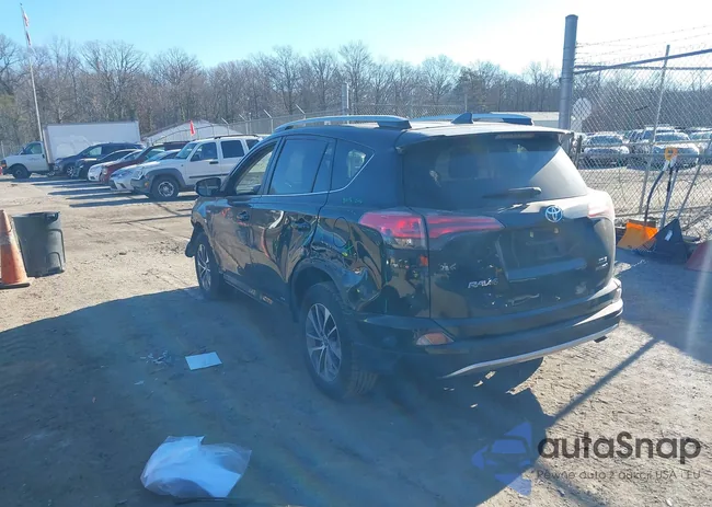 JTMRJREV3GD009209: 38703600