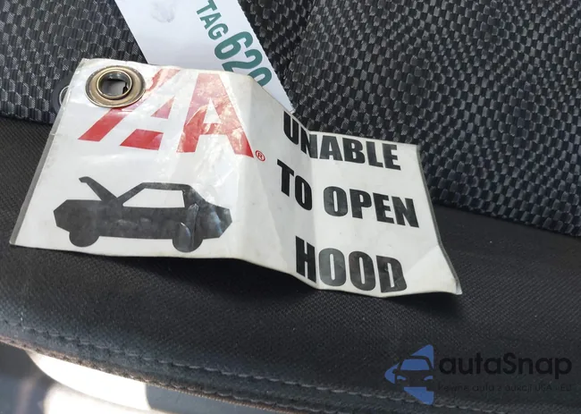 JN1BJ1CW1LW375377: 38707398