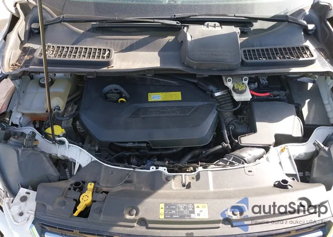 1FMCU9JX7EUB36879: 38745363