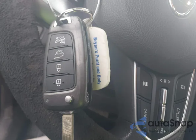 5NMS2CAD7KH115185: 38800927