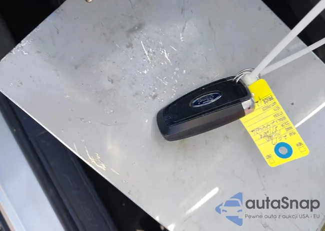 3FA6P0HD7HR244436: 38804345