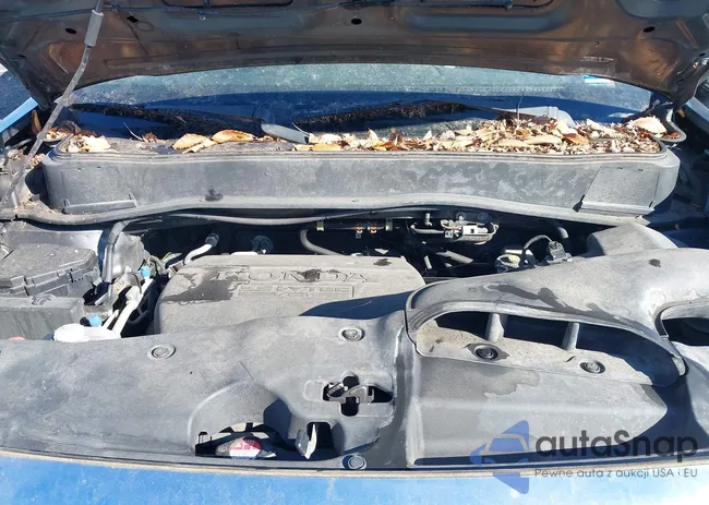 5FNYF4H57CB073462: 38813458