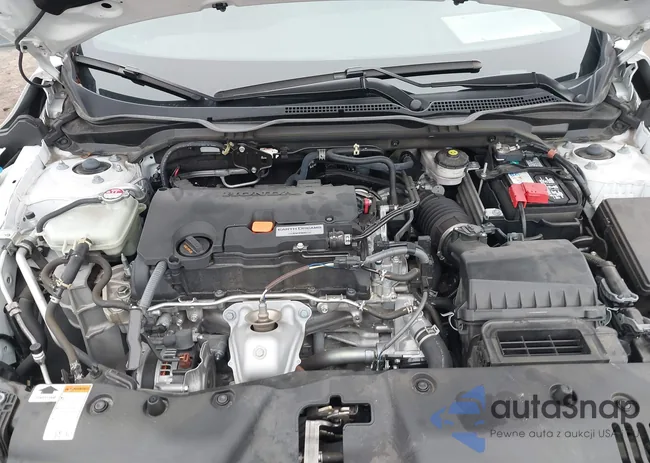 2HGFC4B81LH301034: 38901907