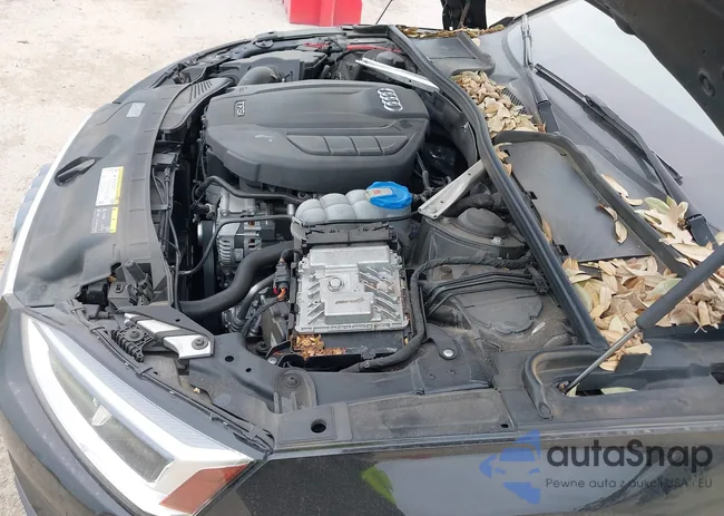 WAUENCF52KA009529: 38916224