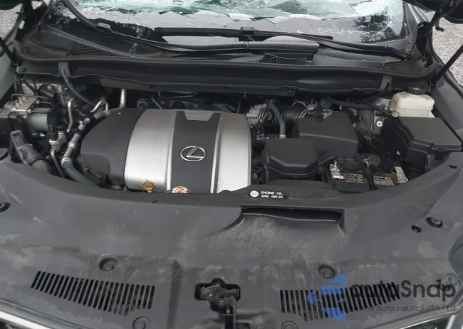 2T2SZMDA5MC265321: 39934848