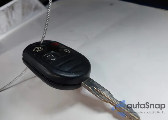 1ZVBP8EM9E5311304: 39941702