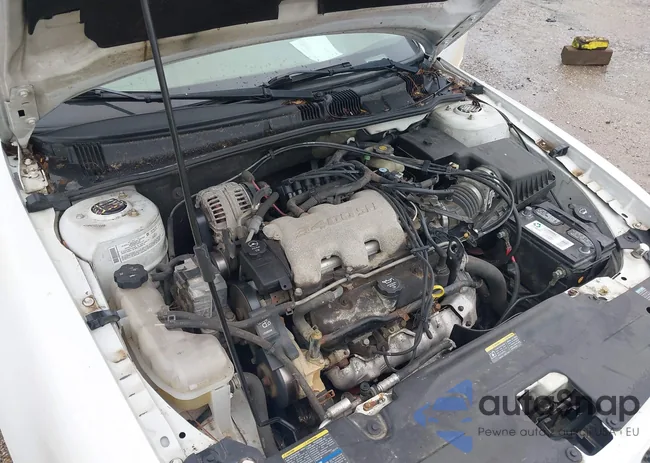 1G2NE52EX5M252744: 39944938