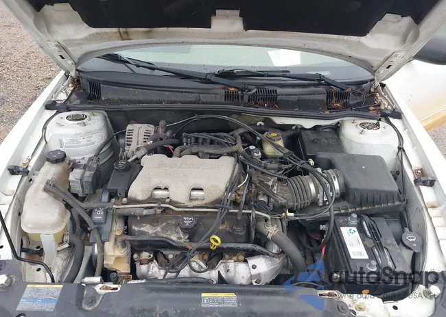 1G2NE52EX5M252744: 39944938