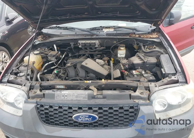 1FMYU93105KB94441: 39967574