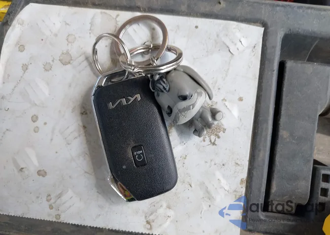 3KPF54AD7PE587934: 39967122