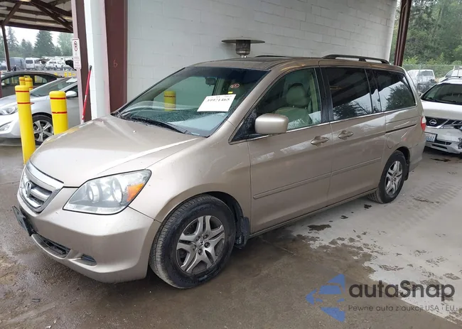 5FNRL38696B421587: 39971465