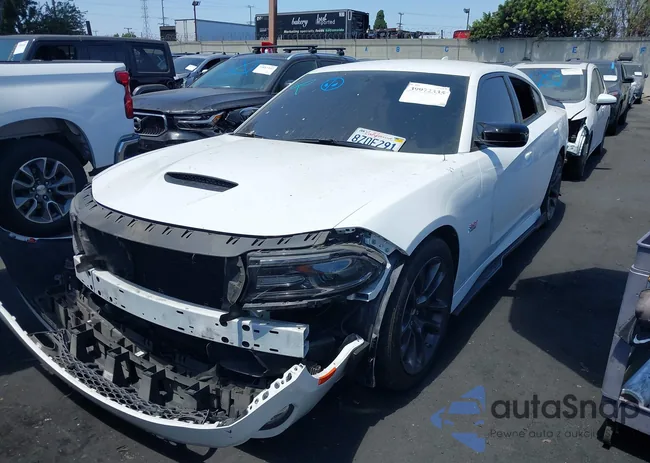 2C3CDXGJ3MH511216: 39972335