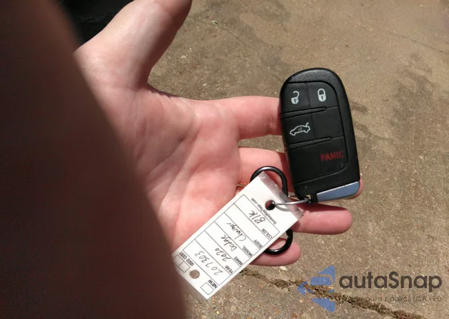 2C3CDXBG9LH207303: 39991088