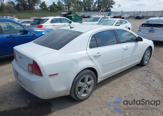 1G1ZD5E13BF118918: 40030379