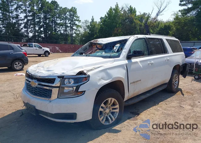 1GNSCGKCXKR212569: 40049954