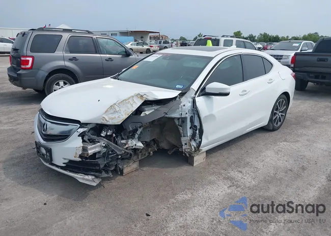 19UUB2F75HA002359: 40052484