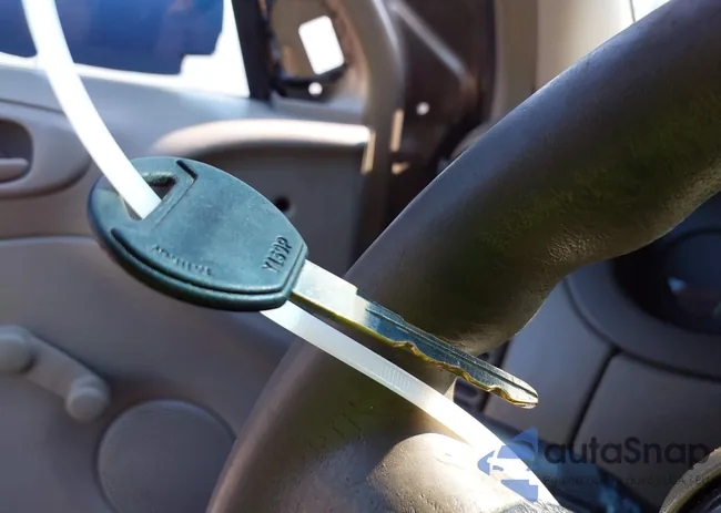 1P3ES46C01D248560: 40055001