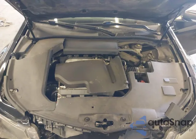 19UUA8F59CA017797: 40055110