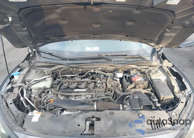 SHHFK7H62KU402529: 40055152