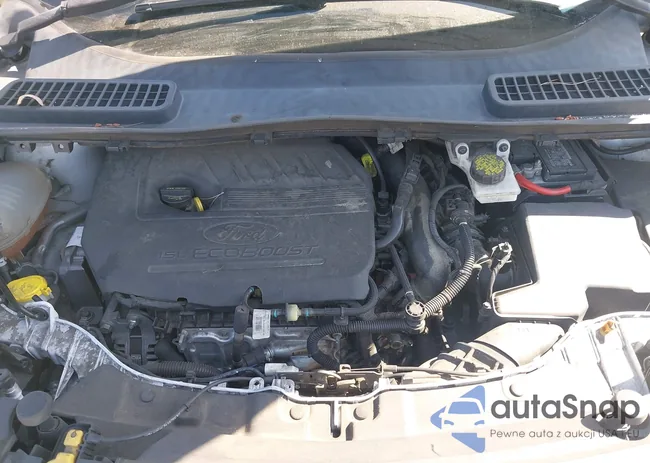 1FMCU0GD1HUC80070: 40055234