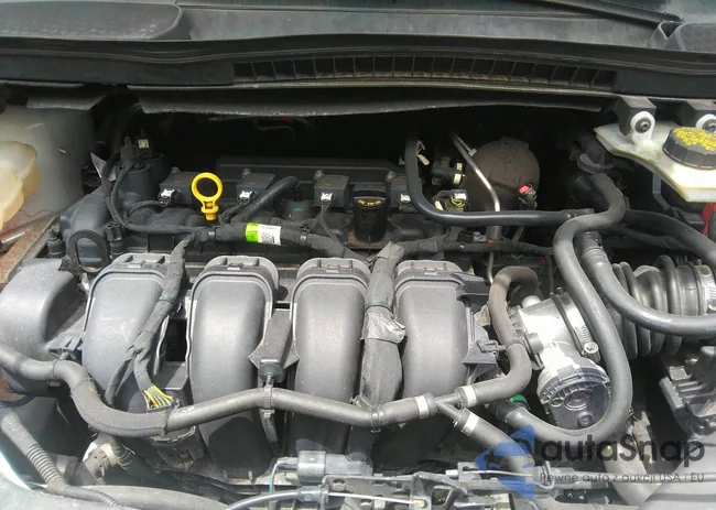 NM0LS7E25K1402245: 40055295