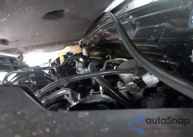 1FADP3F22JL219880: 40055975