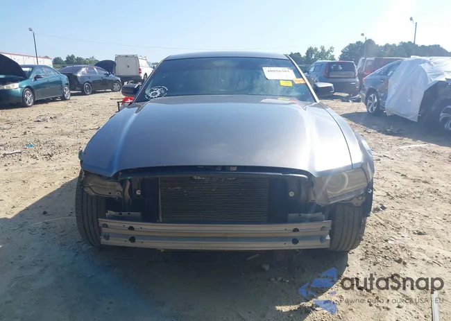 1ZVBP8AM8E5325295: 40056301