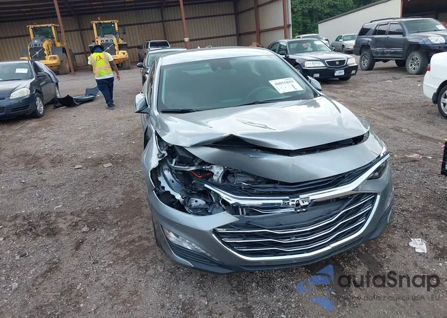 1G1ZD5ST8PF230725: 40055859