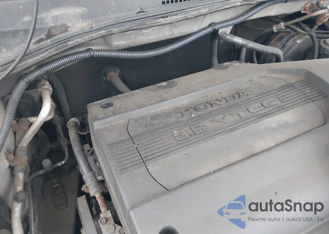 5FNRL18933B037217: 40056574