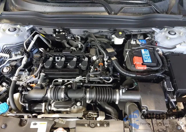 1HGCV1F38MA028135: 40059928