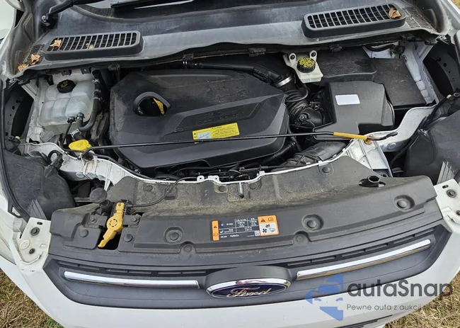 1FMCU0GX4EUA23703: 40061437