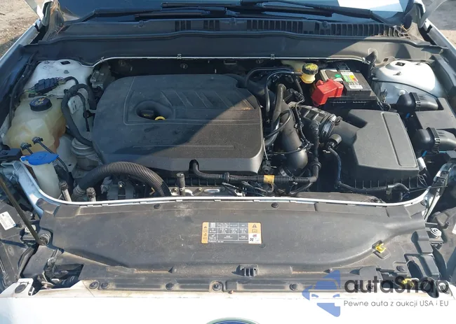 3FA6P0HD2GR185987: 40069101